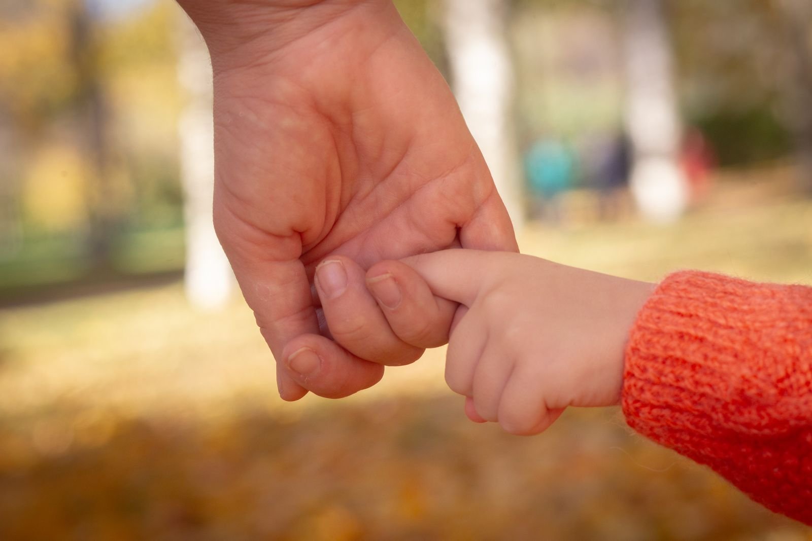 Parent and child holding hands in an autumn park